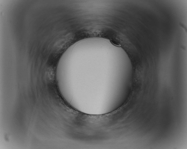 X0000101220037200807111107
