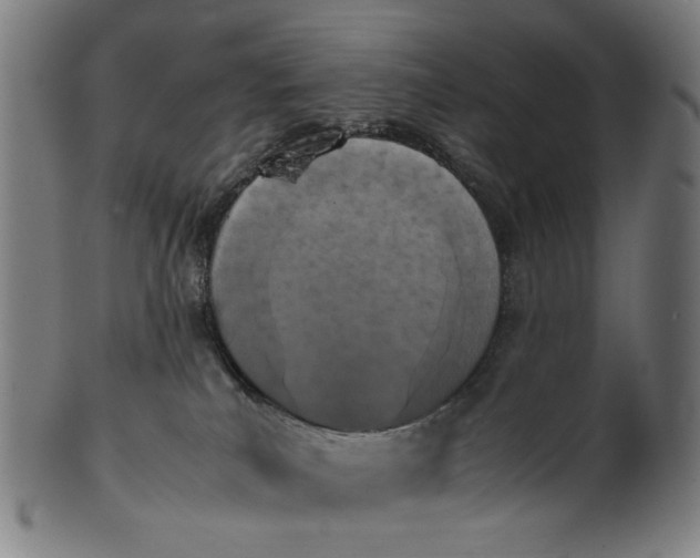 X0000101220039200807111107