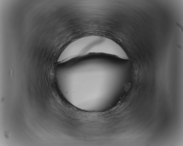 X0000101220040200807111107