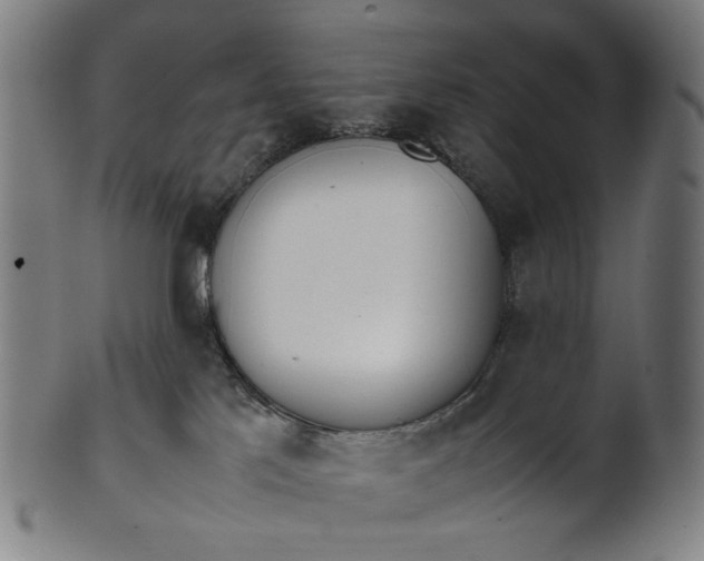 X0000101220041200807111107