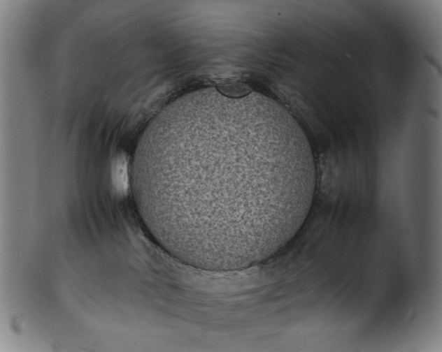 X0000101220042200807111107