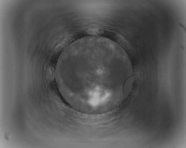 X0000101220043200807111107