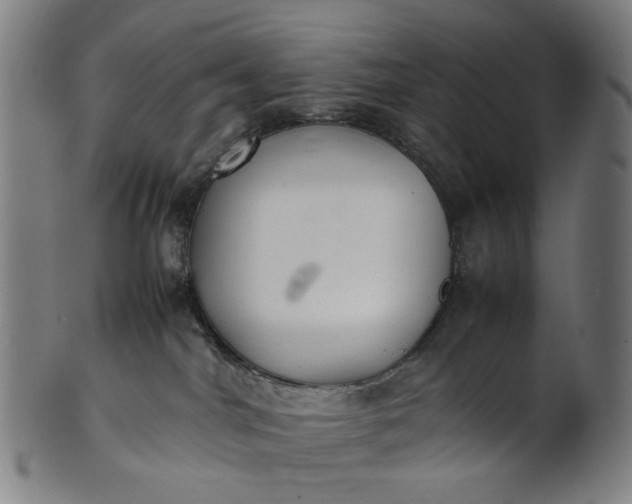 X0000101220044200807111107