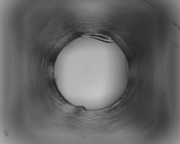 X0000101220045200807111107
