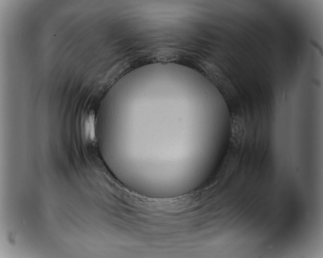 X0000101220046200807111107