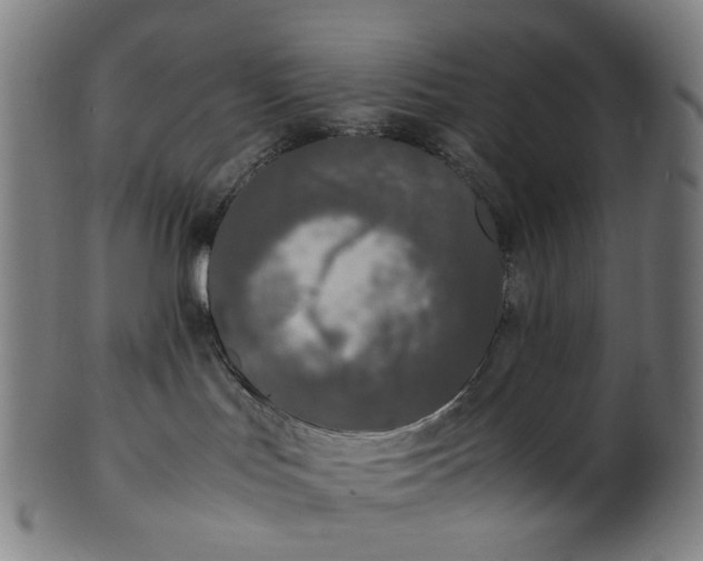 X0000101220047200807111107