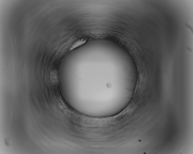 X0000101220048200807111107