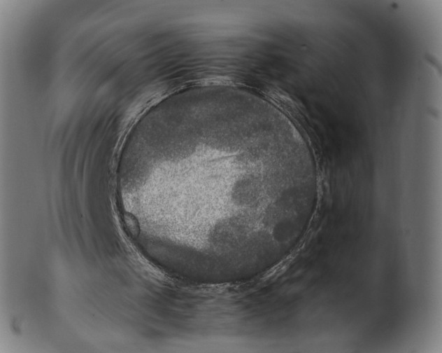 X0000101220049200807111106