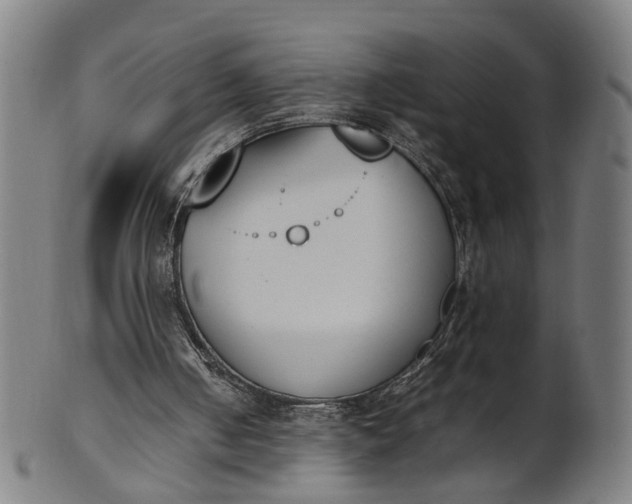 X0000101220050200807111106