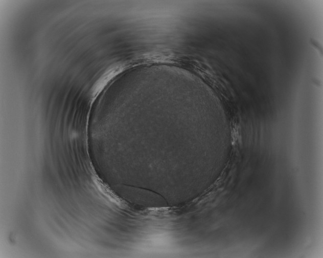 X0000101220052200807111106