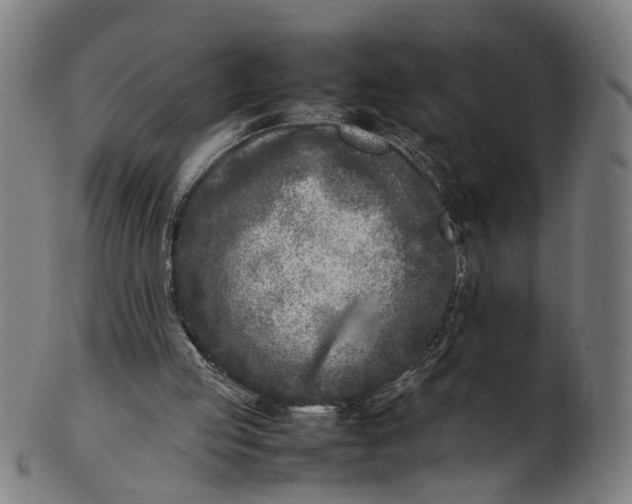 X0000101220053200807111106