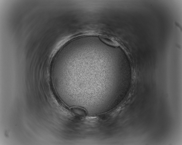 X0000101220055200807111106