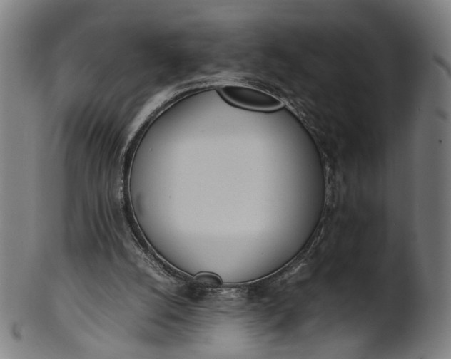X0000101220056200807111106