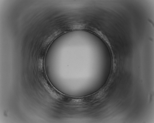 X0000101220057200807111106