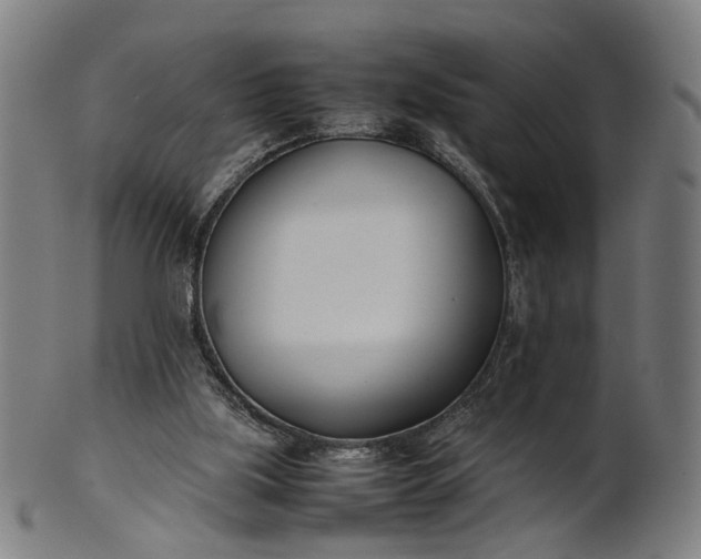 X0000101220059200807111106