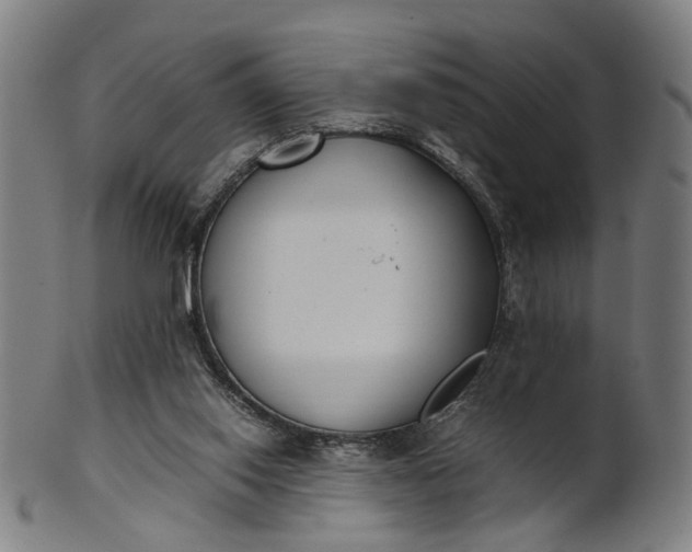 X0000101220062200807111106