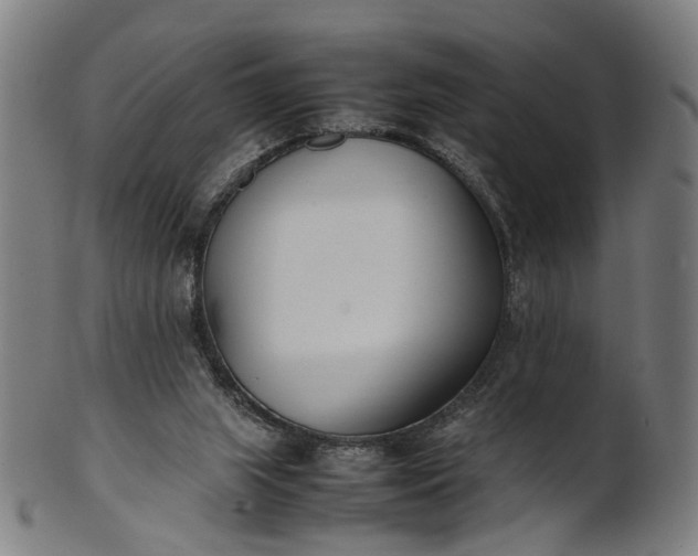 X0000101220063200807111106