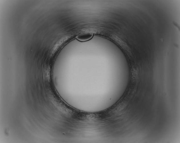 X0000101220064200807111106