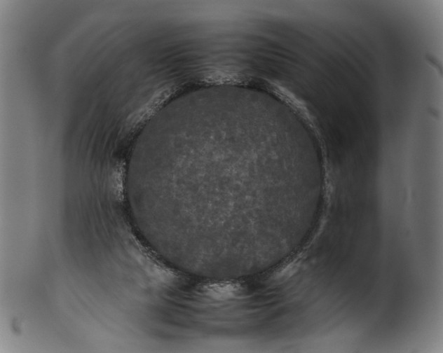 X0000101220065200807111106