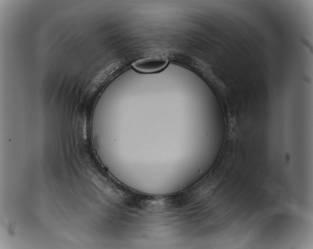 X0000101220068200807111106