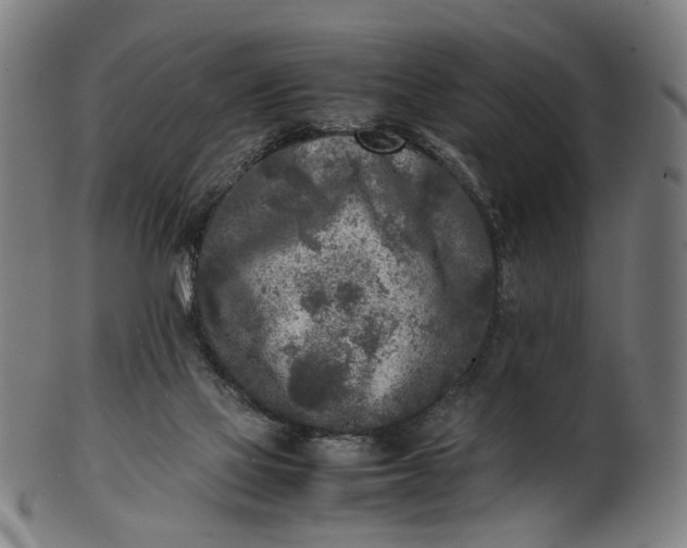 X0000101220069200807111106
