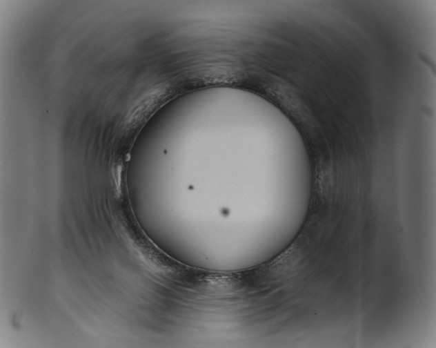 X0000101220070200807111106
