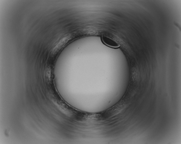 X0000101220072200807111106