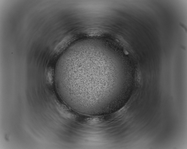 X0000101220074200807111106