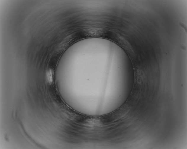 X0000101220075200807111106
