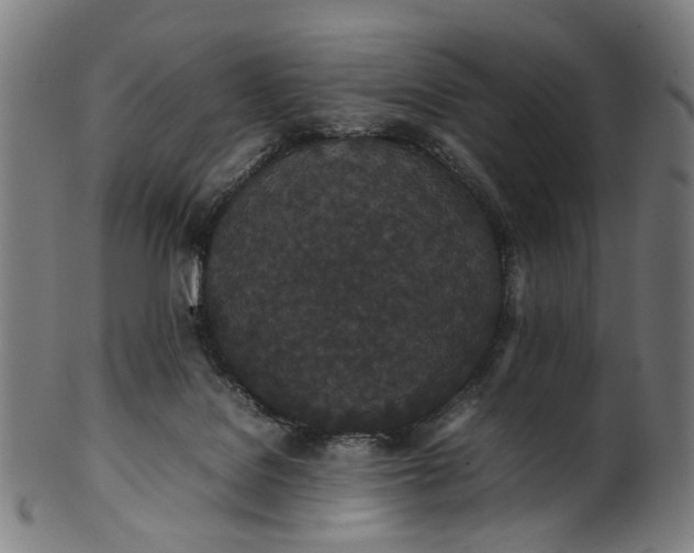 X0000101220076200807111106