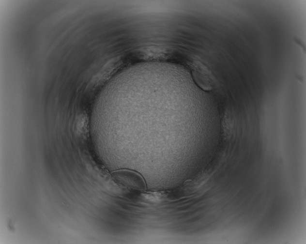 X0000101220079200807111106