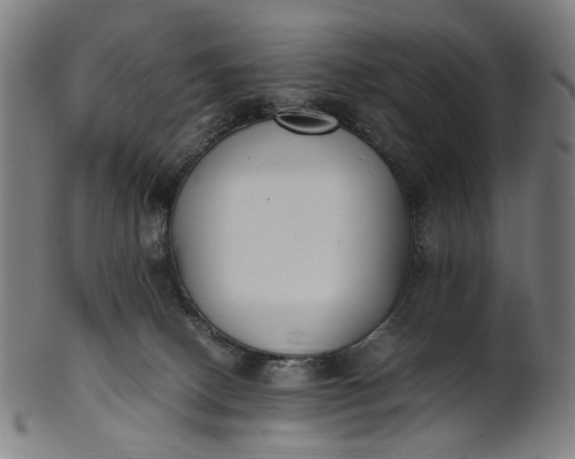 X0000101220082200807111106