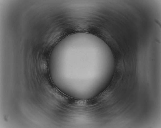 X0000101220084200807111106