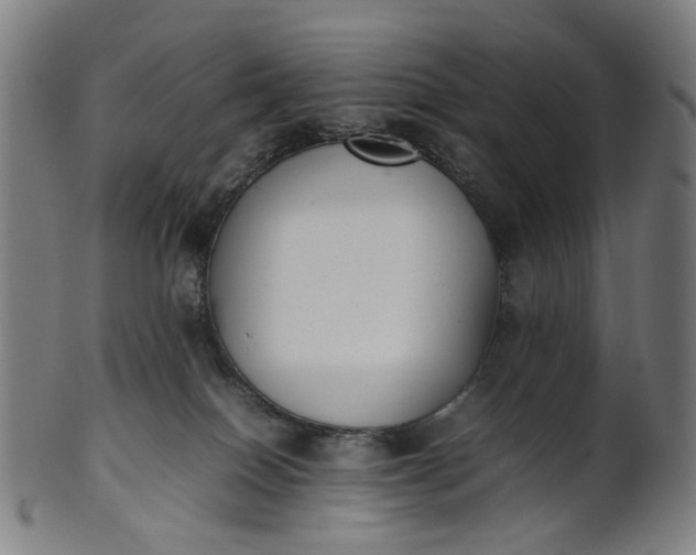 X0000101220086200807111106