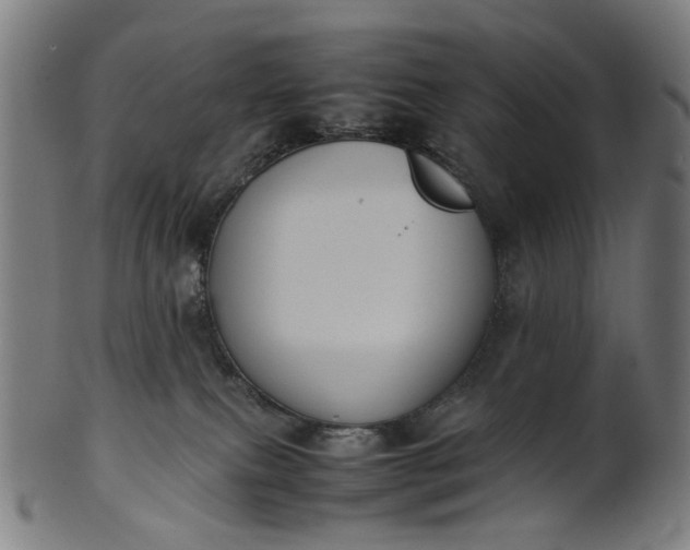 X0000101220087200807111107
