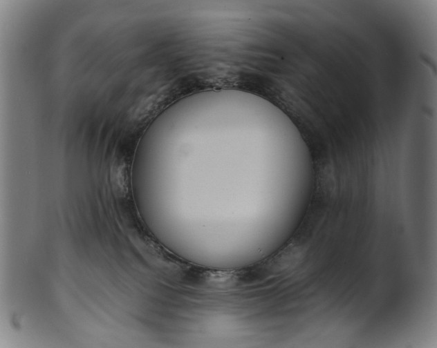 X0000101220088200807111107