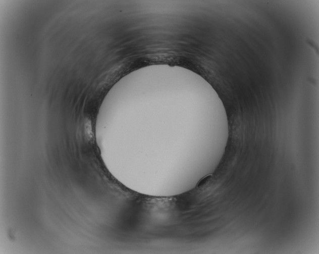 X0000101220089200807111107