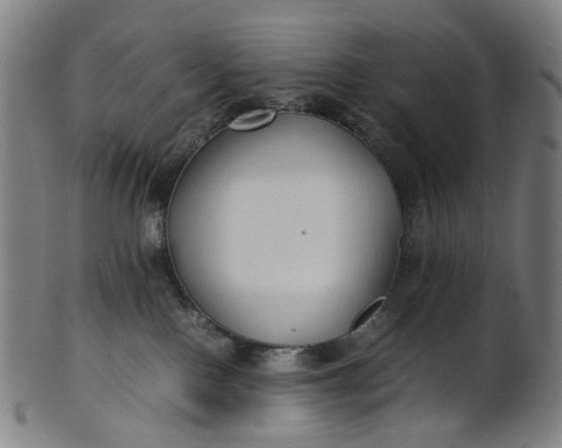X0000101220090200807111107