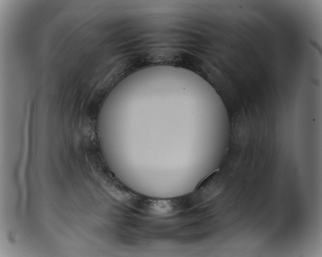 X0000101220091200807111107