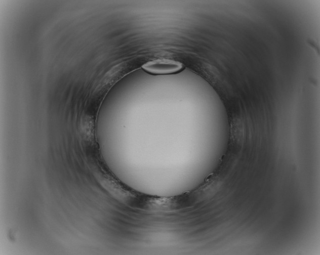 X0000101220092200807111107