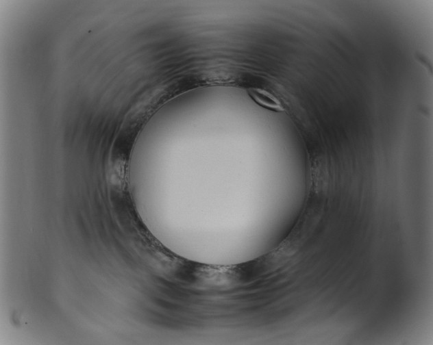 X0000101220093200807111107