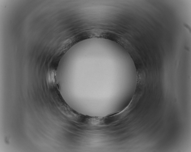 X0000101220094200807111107