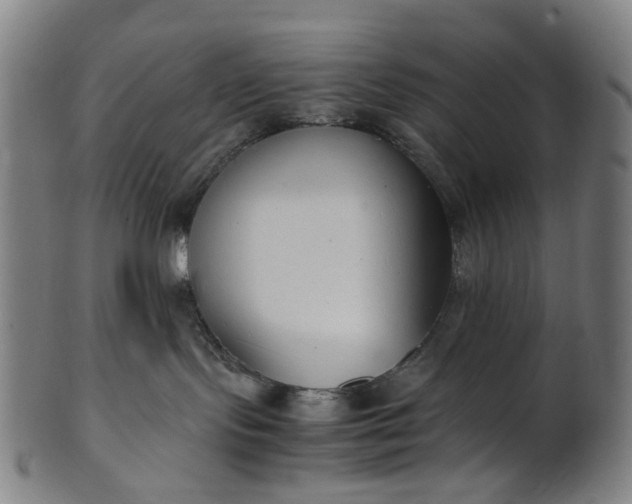 X0000101220095200807111107