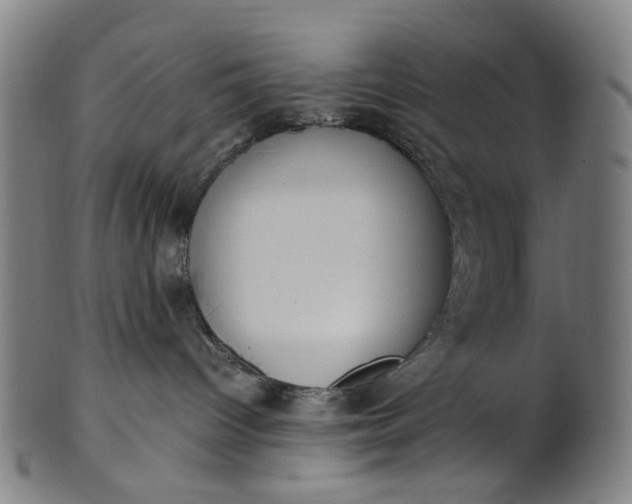 X0000101220096200807111107