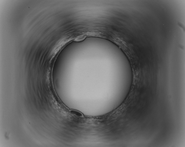 X0000101220098200807111106