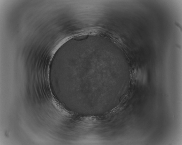 X0000101220100200807111106