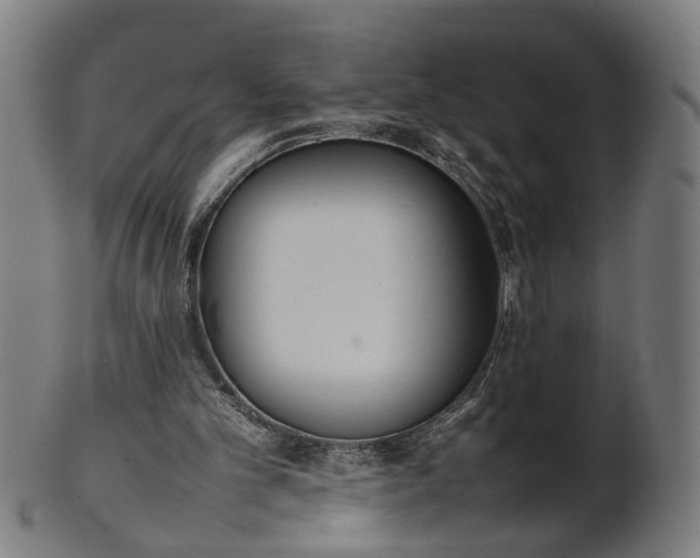 X0000101220101200807111106