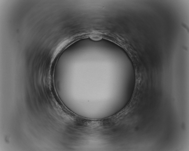X0000101220102200807111106