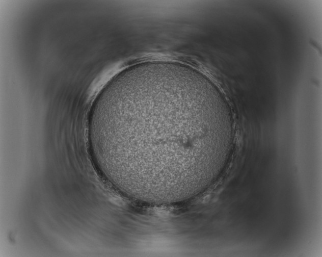 X0000101220103200807111106