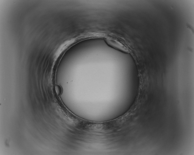 X0000101220104200807111106